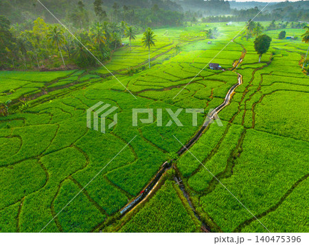 Terraced Rice Fields at Sunrise in Indonesia. Beautiful panoramic view of terraced rice fields surrounded by lush tropical greenery and palm trees 140475396