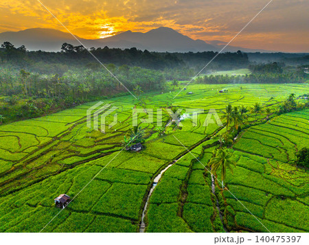 Terraced Rice Fields at Sunrise in Indonesia. Beautiful panoramic view of terraced rice fields surrounded by lush tropical greenery and palm trees Terraced Rice Fields at Sunrise in Indonesia. Beautiful panoramic view of terraced rice fields surrounded by lush tropical greenery and palm trees 140475397