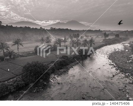 Terraced Rice Fields at Sunrise in Indonesia. Beautiful panoramic view of terraced rice fields surrounded by lush tropical greenery and palm trees Terraced Rice Fields at Sunrise in Indonesia. Beautiful panoramic view of terraced rice fields surrounded by lush tropical greenery and palm trees 140475406