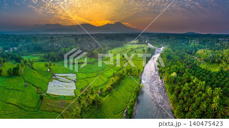 Terraced Rice Fields at Sunrise in Indonesia. Beautiful panoramic view of terraced rice fields surrounded by lush tropical greenery and palm trees Terraced Rice Fields at Sunrise in Indonesia. Beautiful panoramic view of terraced rice fields surrounded by lush tropical greenery and palm trees 140475423