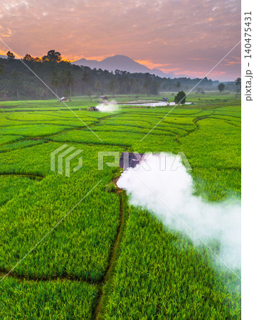 Terraced Rice Fields at Sunrise in Indonesia. Beautiful panoramic view of terraced rice fields surrounded by lush tropical greenery and palm trees 140475431
