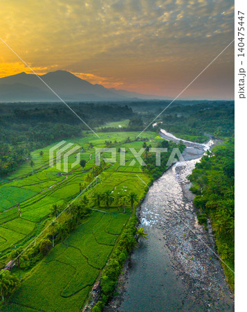 Terraced Rice Fields at Sunrise in Indonesia. Beautiful panoramic view of terraced rice fields surrounded by lush tropical greenery and palm trees 140475447
