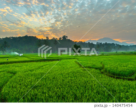 Terraced Rice Fields at Sunrise in Indonesia. Beautiful panoramic view of terraced rice fields surrounded by lush tropical greenery and palm trees Terraced Rice Fields at Sunrise in Indonesia. Beautiful panoramic view of terraced rice fields surrounded by lush tropical greenery and palm trees 140475454