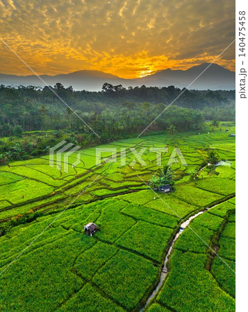Terraced Rice Fields at Sunrise in Indonesia. Beautiful panoramic view of terraced rice fields surrounded by lush tropical greenery and palm trees Terraced Rice Fields at Sunrise in Indonesia. Beautiful panoramic view of terraced rice fields surrounded by lush tropical greenery and palm trees 140475458