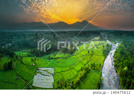 Terraced Rice Fields at Sunrise in Indonesia. Beautiful panoramic view of terraced rice fields surrounded by lush tropical greenery and palm trees 140475612