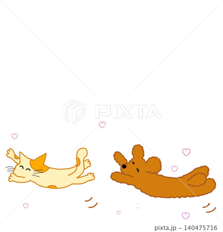 楽しそうにはしゃぐトイプードルとねこ 楽しそうにはしゃぐトイプードルとねこ 140475716