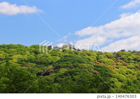 【愛媛県松山市】 松山城 堀之内 城山公園 やすらぎ広場 【愛媛県松山市】 松山城 堀之内 城山公園 やすらぎ広場 140476303