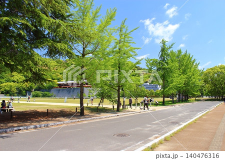 【愛媛県松山市】　松山城　堀之内　城山公園　やすらぎ広場 140476316