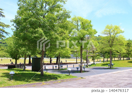 【愛媛県松山市】 松山城 堀之内 城山公園 やすらぎ広場 【愛媛県松山市】 松山城 堀之内 城山公園 やすらぎ広場 140476317