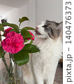 Male Ragdoll Cat Licking Leaf of Pink Carnation Bouquet in Glass Vase Indoors 140476373