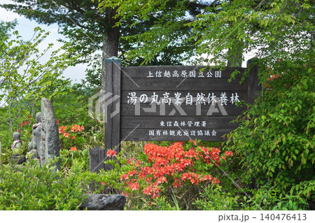 初夏の湯の丸高原 地蔵峠 初夏の湯の丸高原 地蔵峠 140476413