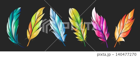 Colorful bird feathers on black Colorful bird feathers on black 140477270