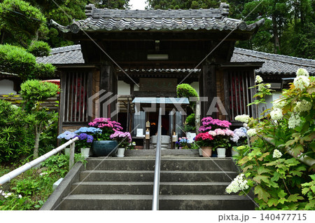 アジサイに彩られた寺院の山門 140477715