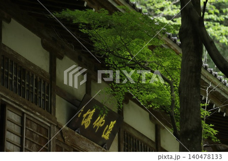 遠州森町・大洞院の新緑 遠州森町・大洞院の新緑 140478133