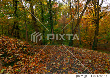 atmospheric September park local place without people with fallen leaves cover and brown colors atmospheric September park local place without people with fallen leaves cover and brown colors 140478563