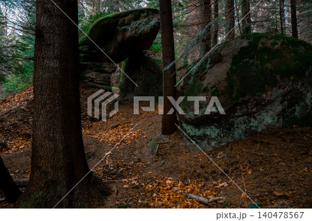 tranquil forest scene in autumn featuring a path winding between large moss-covered rocks and a carpet of fallen leaves 140478567