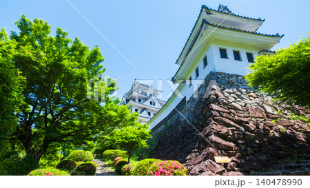 郡上八幡城 郡上八幡城 140478990