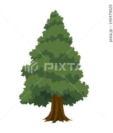 Kind of tree icon, fir. Coniferous plant. Green crown with conifers and natural brown trunk and branches. Vector cartoon illustration 140479020