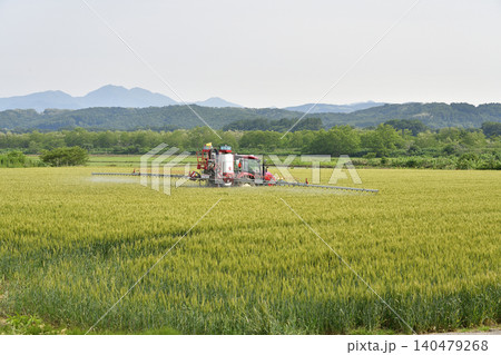 初夏の北海道厚沢部町で麦畑の防除作業風景を撮影 初夏の北海道厚沢部町で麦畑の防除作業風景を撮影 140479268