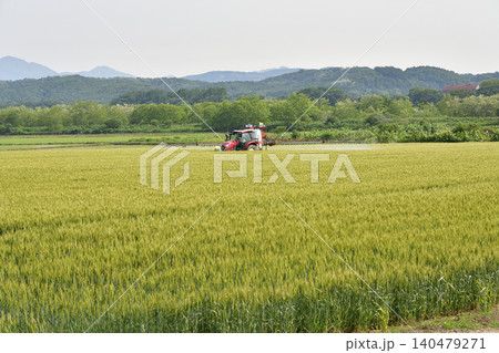 初夏の北海道厚沢部町で麦畑の防除作業風景を撮影 140479271