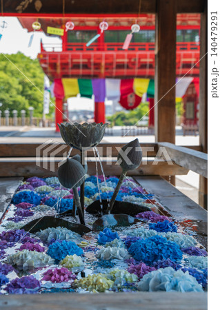 犬山成田山、紫陽花の花手水と風鈴〈愛知県犬山市〉 犬山成田山、紫陽花の花手水と風鈴〈愛知県犬山市〉 140479291