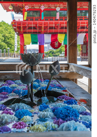 犬山成田山、紫陽花の花手水と風鈴〈愛知県犬山市〉 140479293