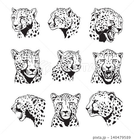Set of stylized cheetah head silhouettes in black ink Set of stylized cheetah head silhouettes in black ink 140479589