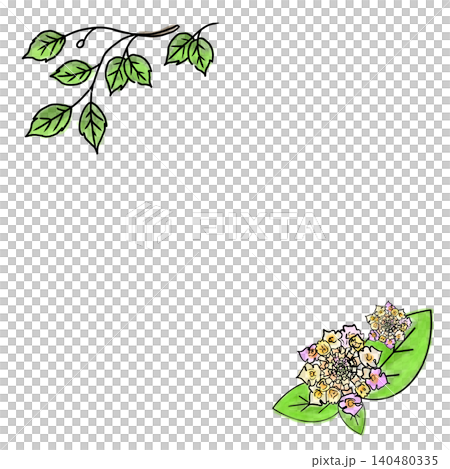 馬纓丹(七彩花)及葉片插圖素材 馬纓丹(七彩花)及葉片插圖素材 140480335