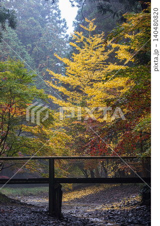 静岡県周智郡森町一宮 小國神社と周辺の風景 静岡県周智郡森町一宮 小國神社と周辺の風景 140480820
