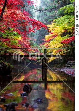 静岡県周智郡森町一宮 小國神社と周辺の風景 静岡県周智郡森町一宮 小國神社と周辺の風景 140480848