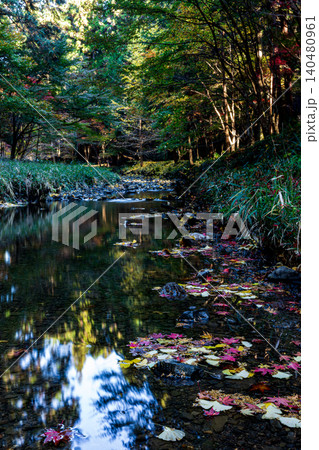 静岡県周智郡森町一宮 小國神社と周辺の風景 静岡県周智郡森町一宮 小國神社と周辺の風景 140480961