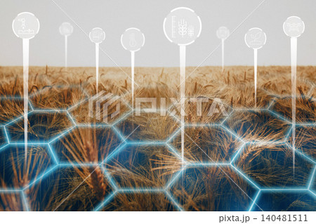 Smart farm technology is used to improve crop growth and management in agricultural fields Smart farm technology is used to improve crop growth and management in agricultural fields 140481511