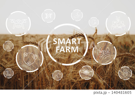 Smart farm technology connects crops with modern solutions for efficient agriculture Smart farm technology connects crops with modern solutions for efficient agriculture 140481605