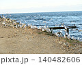Seagull 140482606