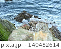 紅一点 140482614