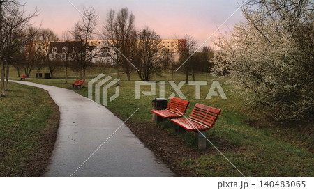 Red Benches Along Wet Park Path Red Benches Along Wet Park Path 140483065