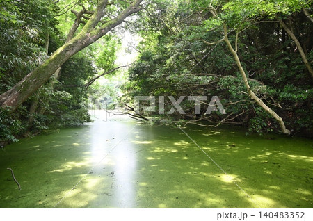 大草城（愛知県知多市）の水堀 140483352