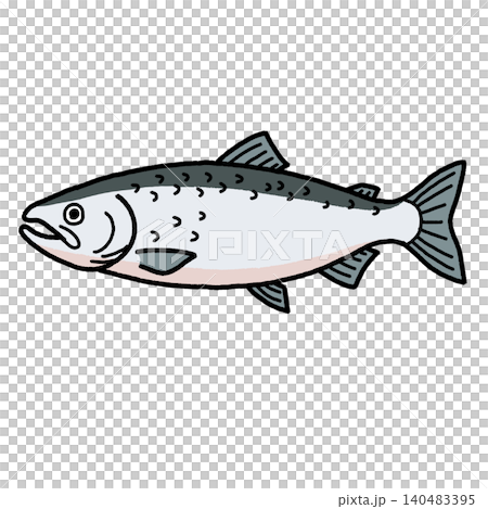 手描きの鮭のイラスト 手描きの鮭のイラスト 140483395