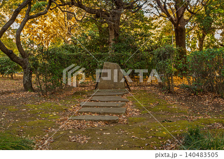木立ちの中に佇む石碑と苔むした庭の敷石の小道 北の丸公園 2023年12月 140483505