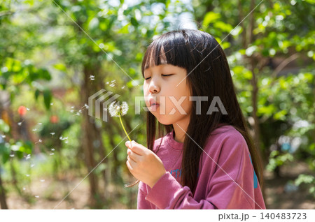 Asian little girl blowing dandelion in park, carefree childhood and nature exploration concept 140483723