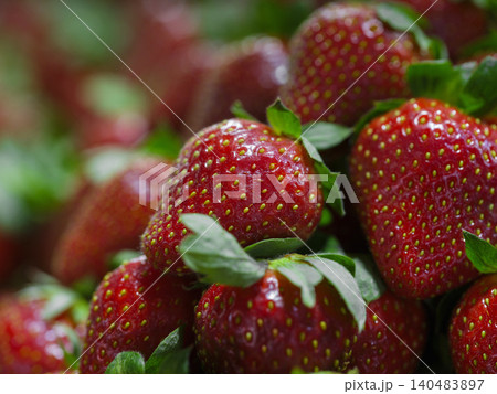 healthy strawberries at the market 140483897