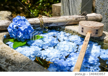 アジサイで彩られている花手水 岡山県真庭市「花の山寺 普門寺」 アジサイで彩られている花手水 岡山県真庭市「花の山寺 普門寺」 140483957