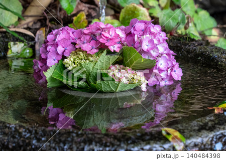 水瓶に咲く紫色の紫陽花と清らかな水の流れ 水瓶に咲く紫色の紫陽花と清らかな水の流れ 140484398