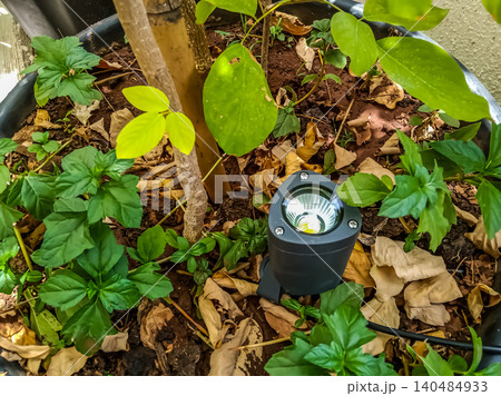 Modern Black LED Garden Spike Spotlight for Landscape Lighting adjustable black LED spike light installed in garden soil near a tree. Modern Black LED Garden Spike Spotlight for Landscape Lighting adjustable black LED spike light installed in garden soil near a tree. 140484933