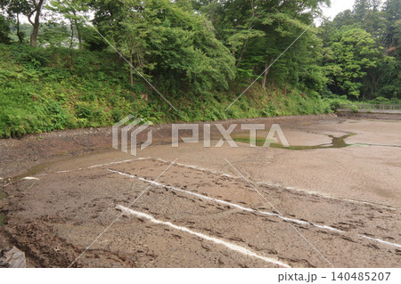フィギュアスケート発祥の地で仙台城跡二の丸のお堀である五色沼の水が全部抜かれた光景 宮城県仙台 フィギュアスケート発祥の地で仙台城跡二の丸のお堀である五色沼の水が全部抜かれた光景 宮城県仙台 140485207