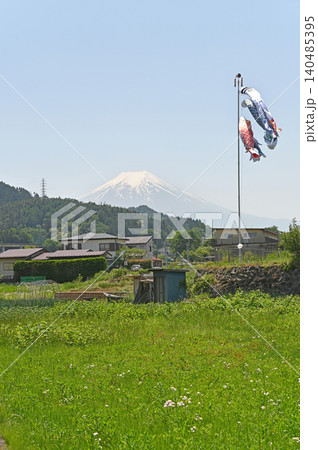 桂川公園からの富士山　青空に映える鯉のぼりと可憐な野花が彩る初夏の原風景 140485395