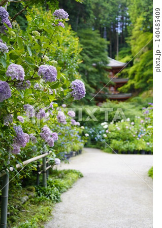 紫陽花のある風景 140485409