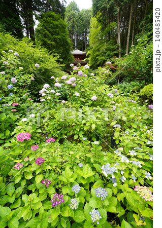 紫陽花のある風景 紫陽花のある風景 140485420