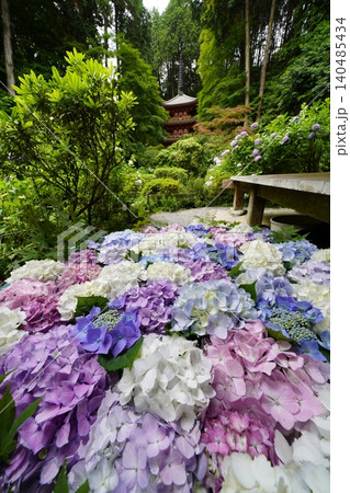 紫陽花のある風景 140485434