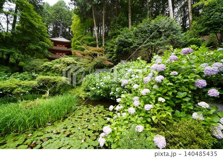 紫陽花のある風景 紫陽花のある風景 140485435